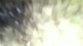 Video Of My Panamanian Swinger Wife - porn video