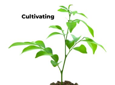 Cultivating